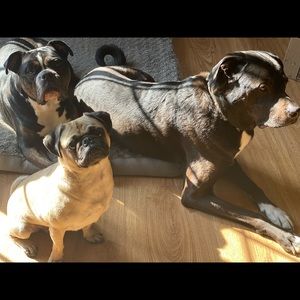 Meet your Posher, Olivia